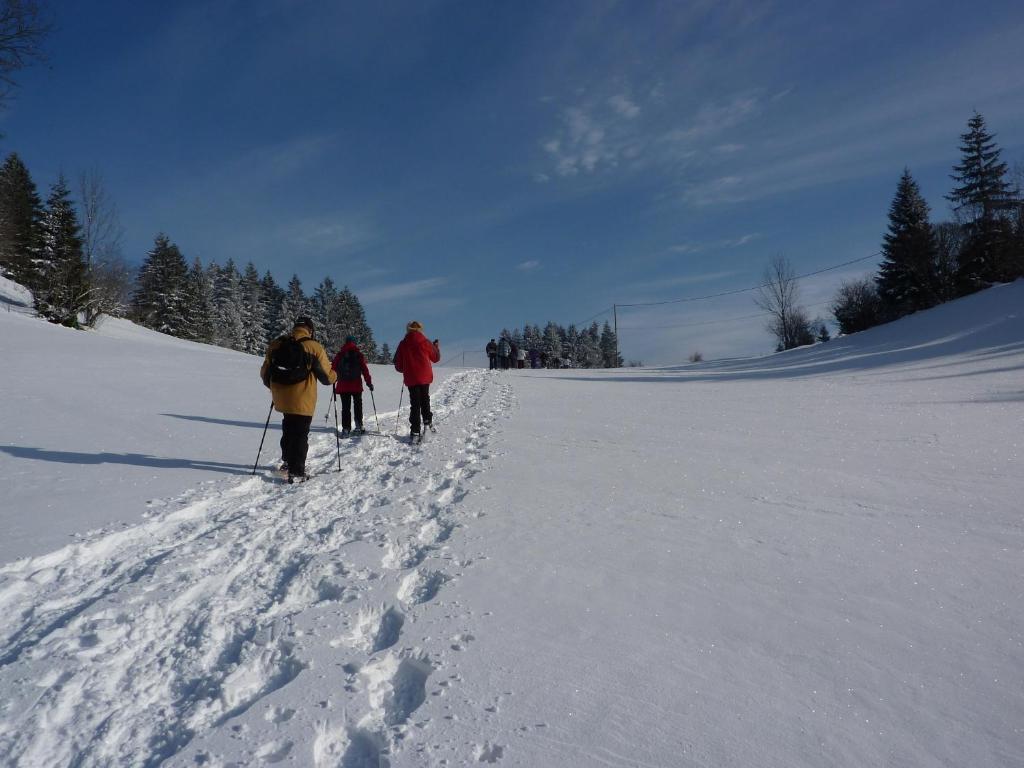 Hotel Le Grand Chalet Foncine-le-Haut Luaran gambar